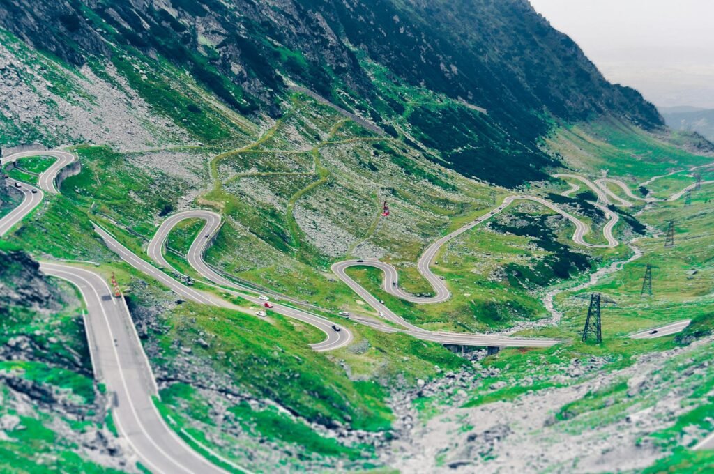 aerial photo of green scenery and winding road