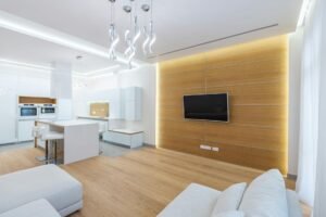 luxury stylish kitchen and living room