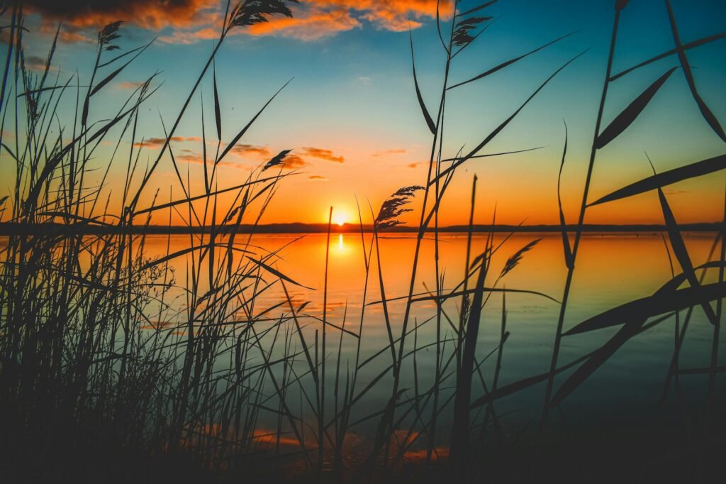 scenic view of lake during sunset