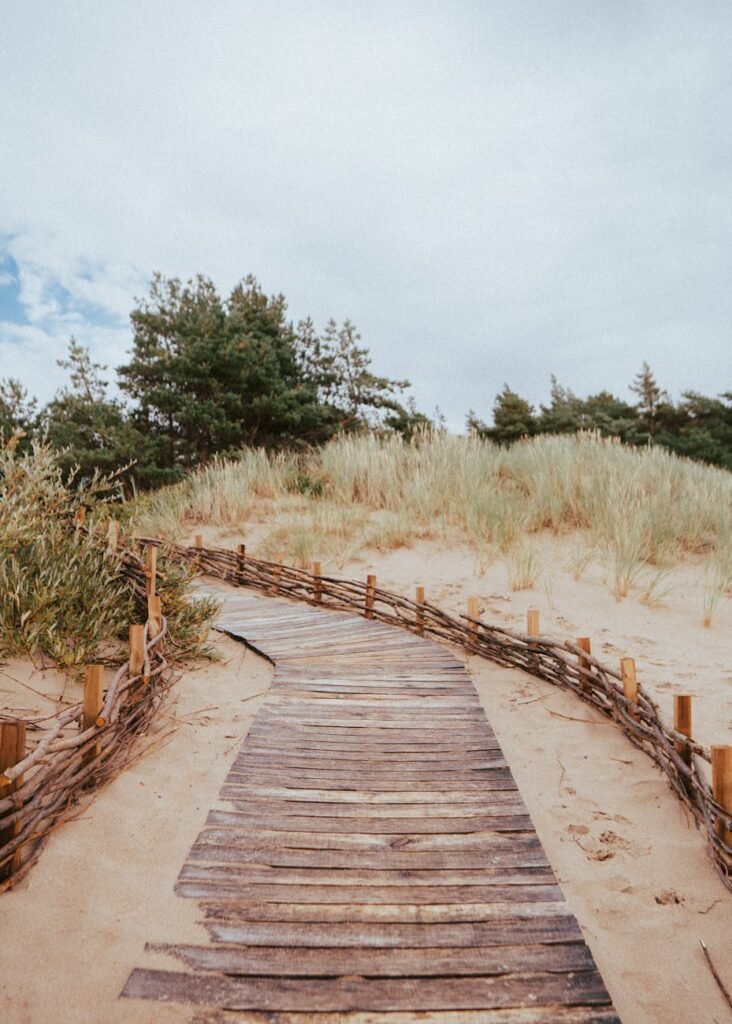 a wooden path at a beach in lithuania