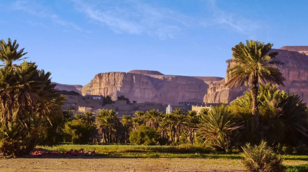 palm trees and buildings in yemen