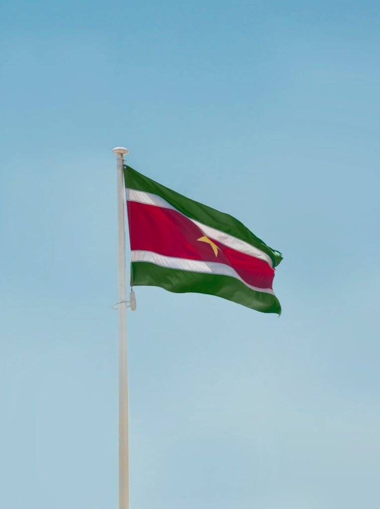 the flag of suriname