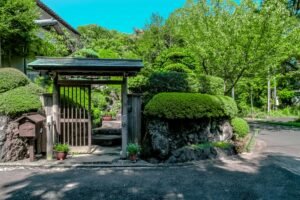 brown wooden gate and green leafed tree