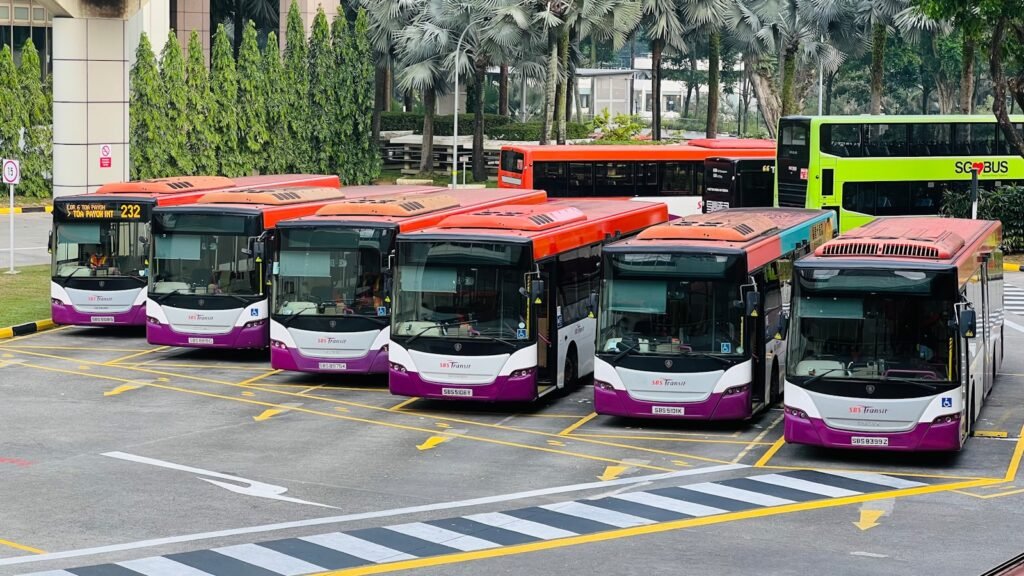 a group of buses parked next to each other in a parking lot
