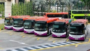a group of buses parked next to each other in a parking lot